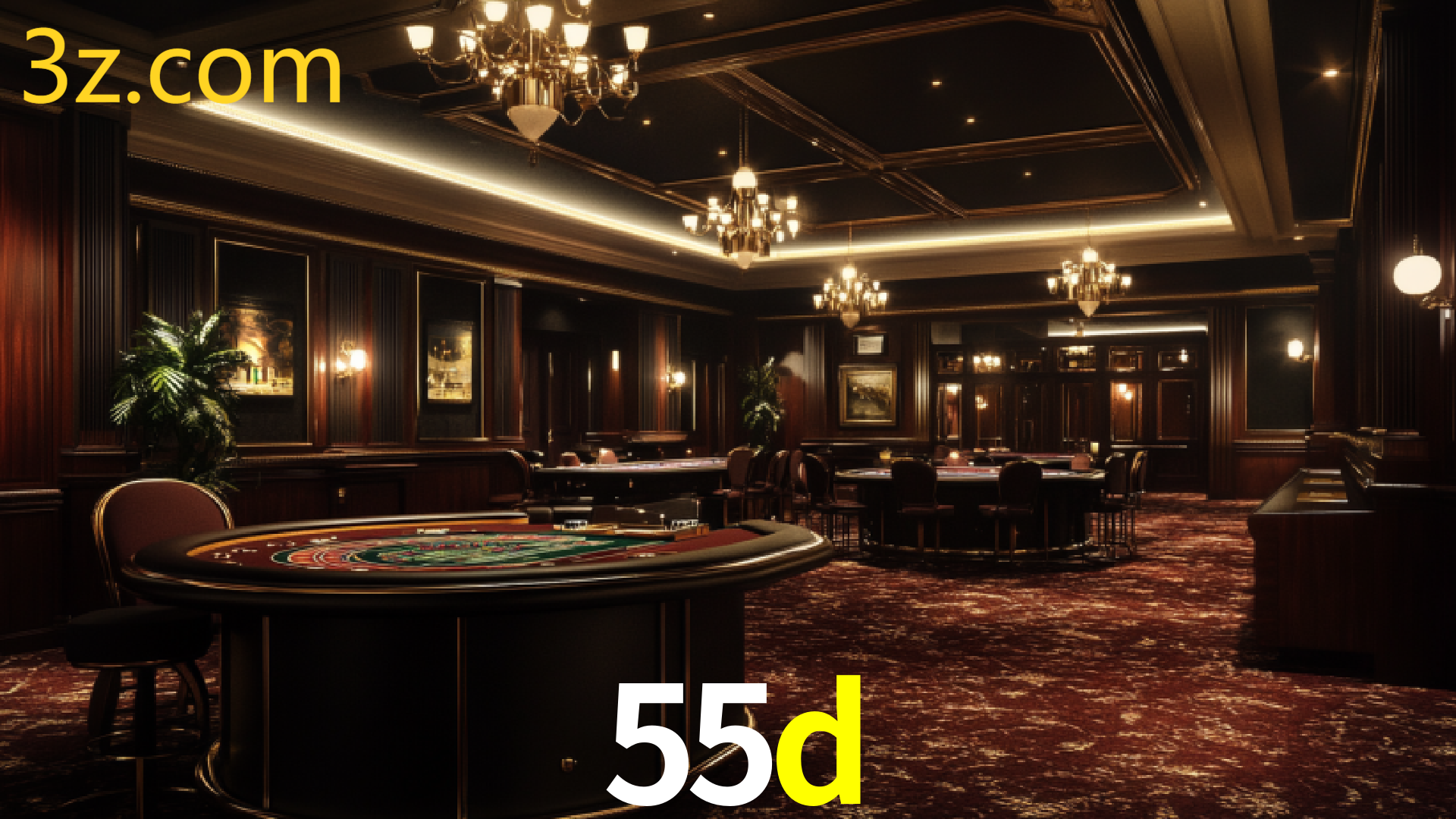 55D.COM